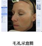 VISIA�沿�D������x�a(ch��n)Ʒ��B