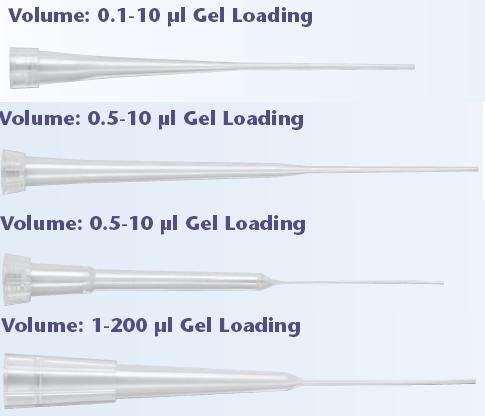 QSP��(bi��o)��(zh��n)���z�c(di��n)�����^