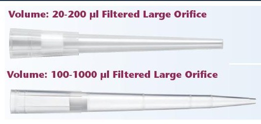 QSP���Vо響����^