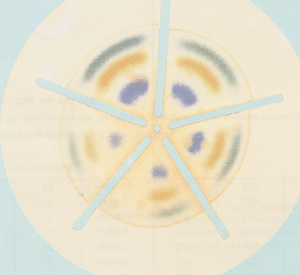 MN��ī��/ɫ�V��